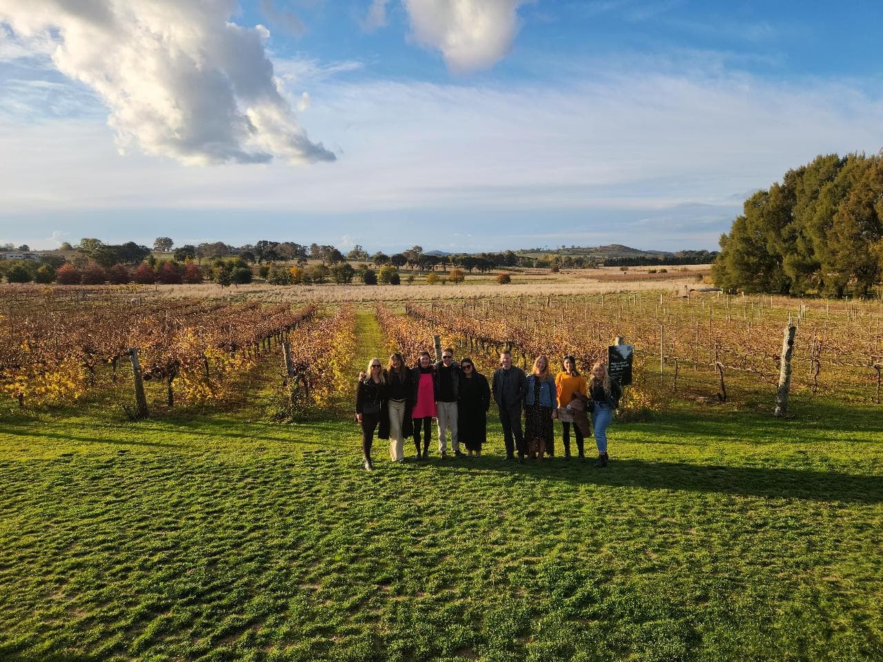 Wide vineyard panorama at golden hour with tour group