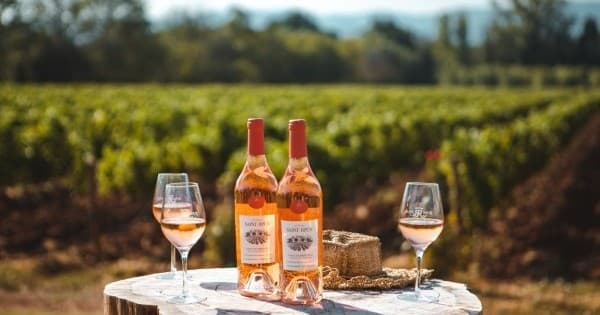 Provence Wine Tasting at Farm Experiences & Tours