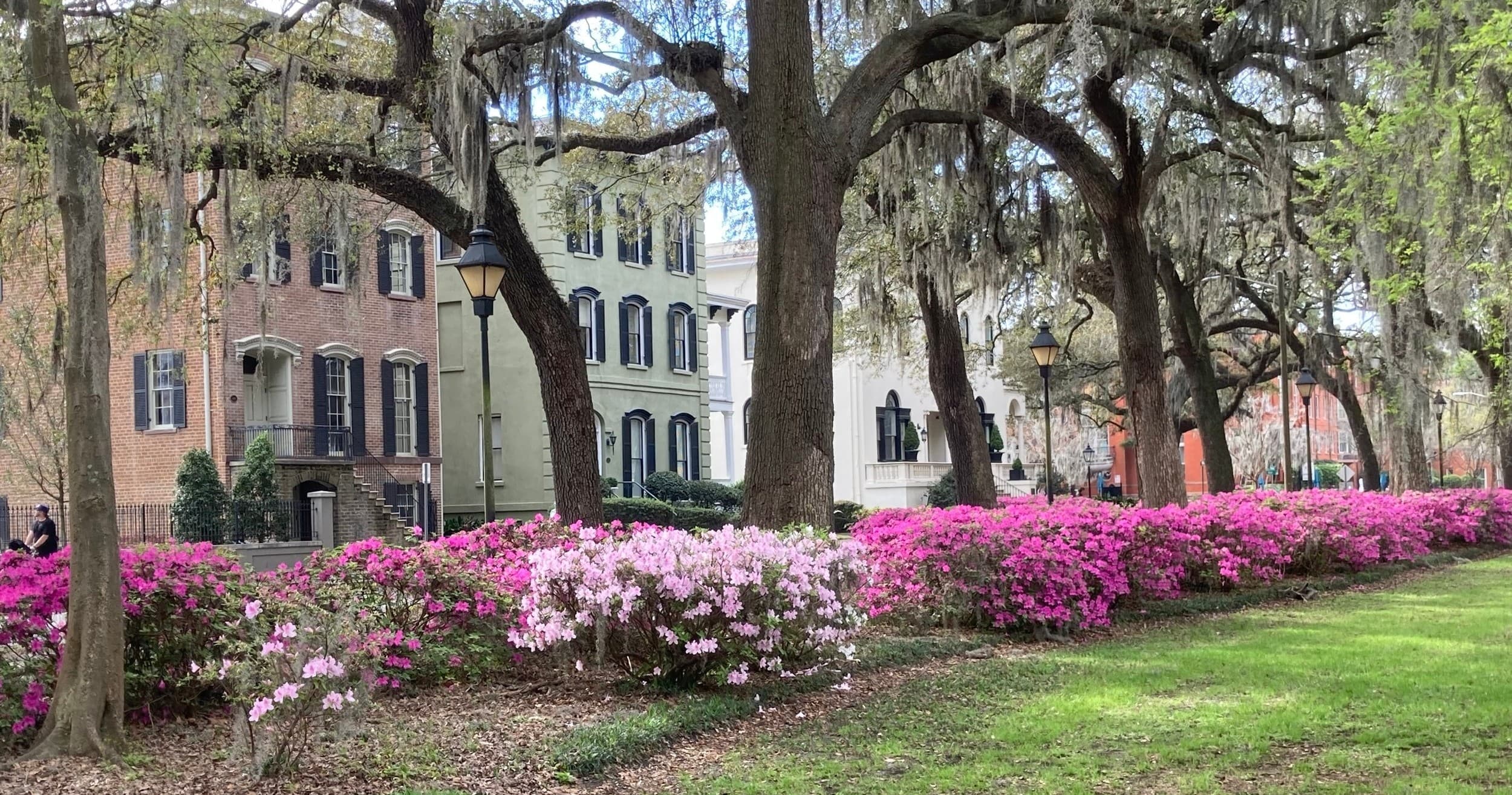 Must-See Savannah fleet