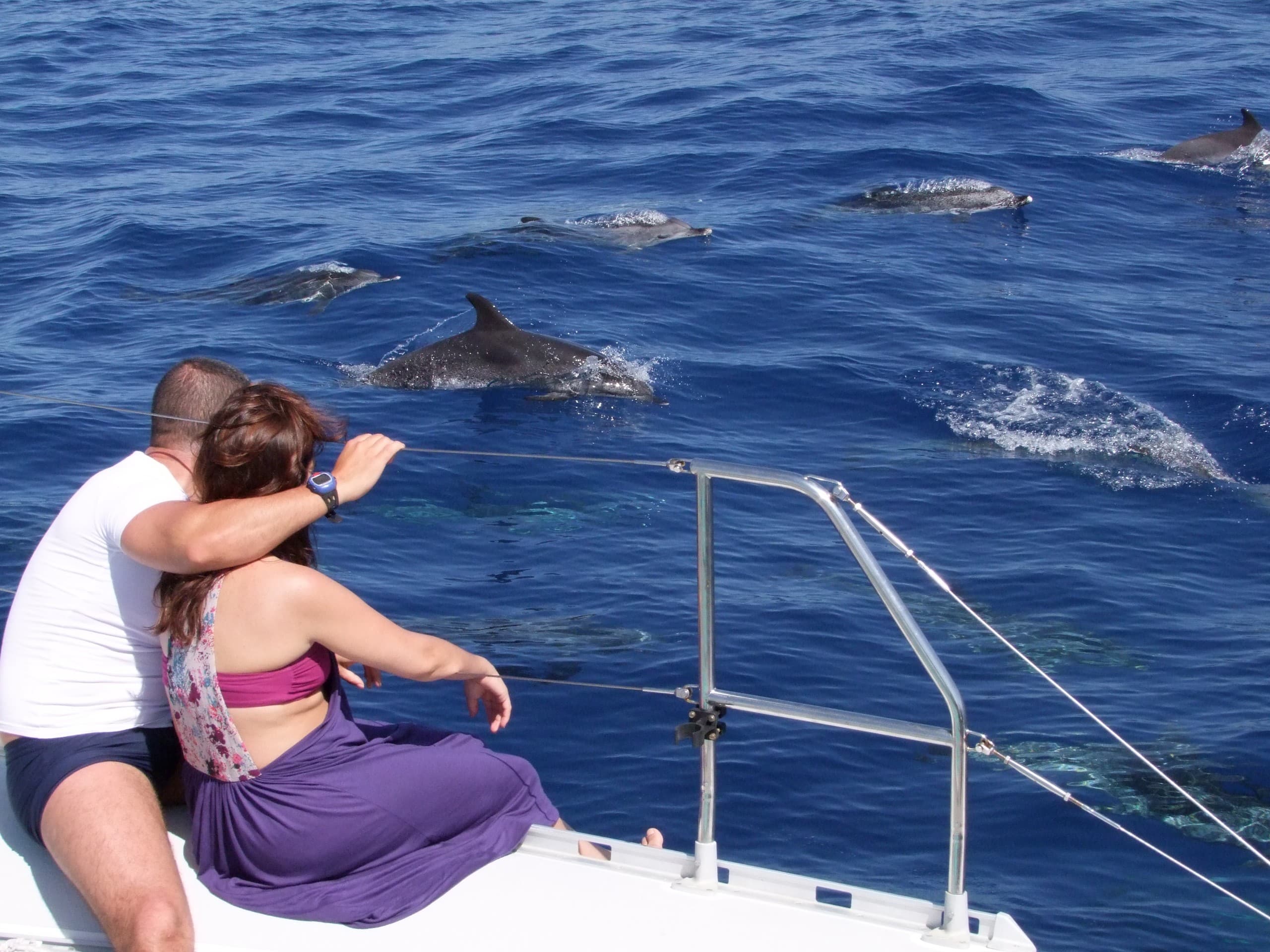 From Cabo Girão Skywalk to Dolphin Watching: Nun's Valley & Câmara de Lobos Day Tour