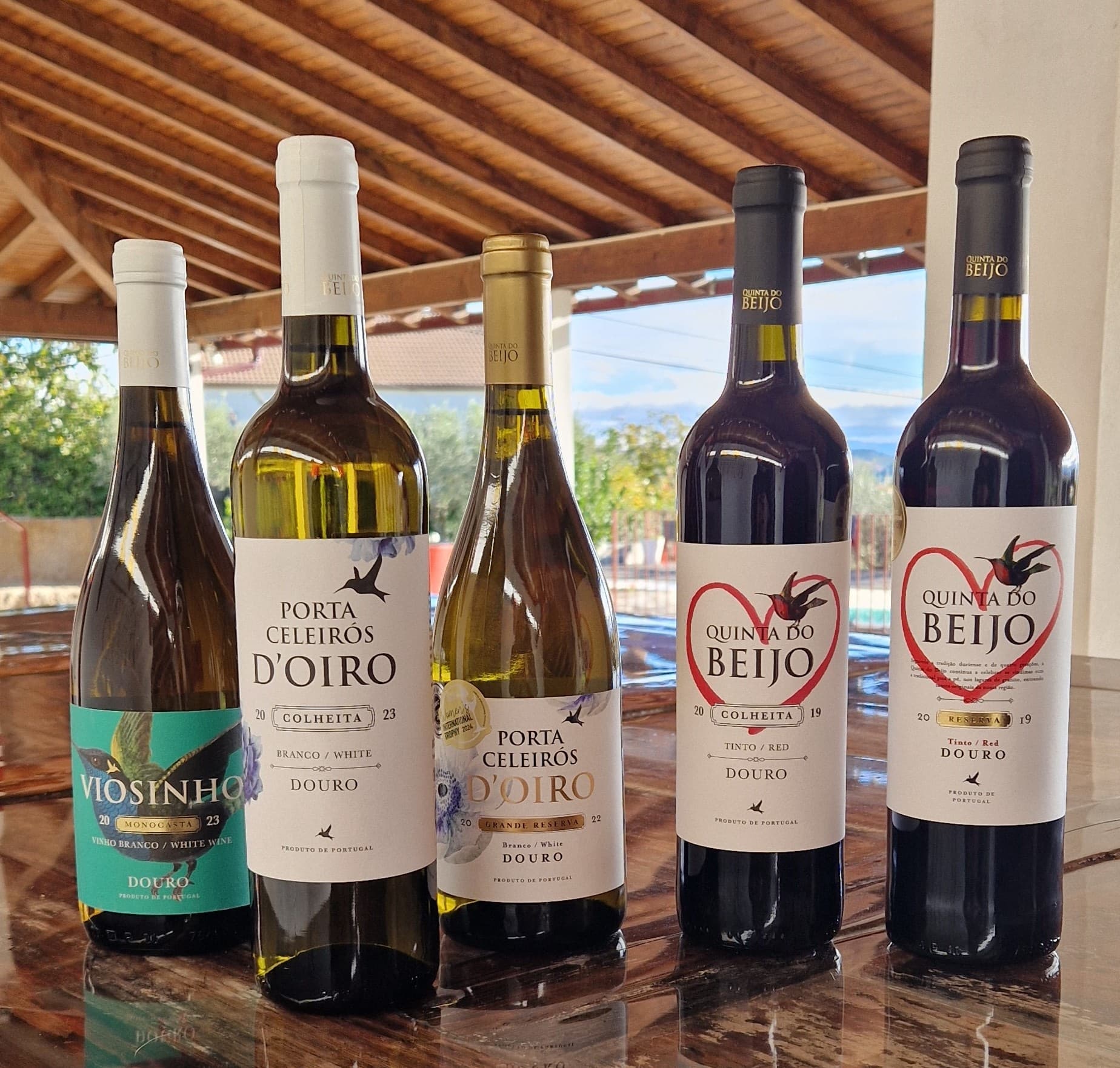 Douro Wine Tasting at Quinta Do Beijo