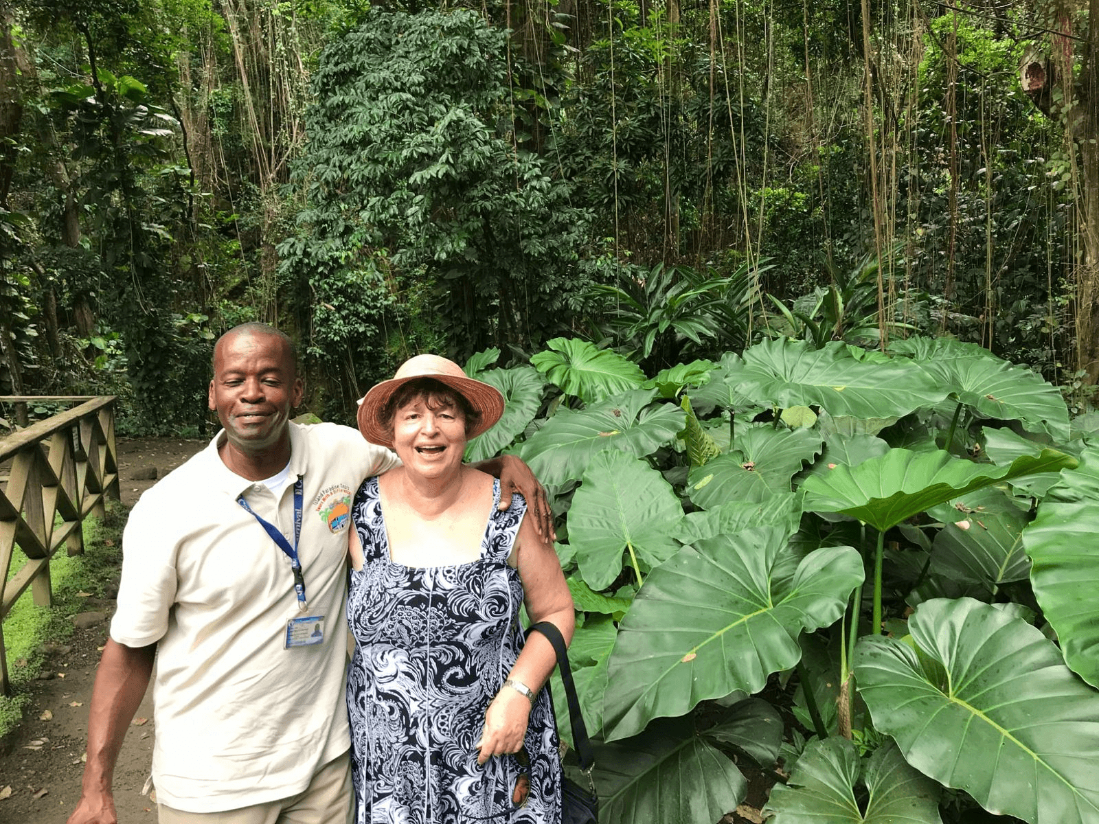 Old Road Rainforest Tour: St. Kitts Four-Hour Wildlife Escape photo 2