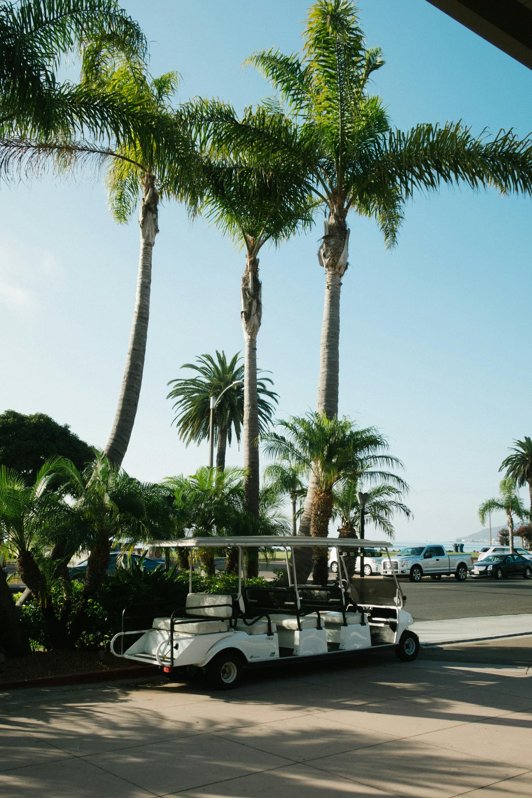 Florida Beach Adventures with Sunchaser Rentals