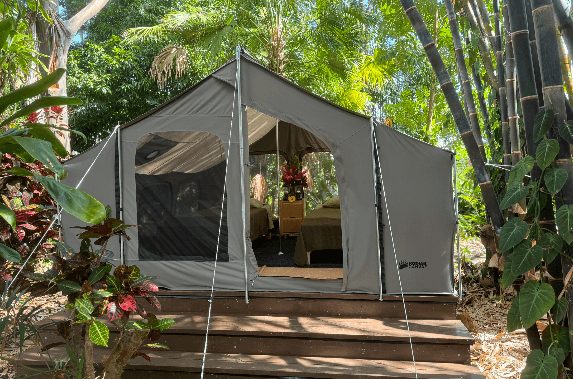 Glamping tent on wooden platform in tropical rainforest camp