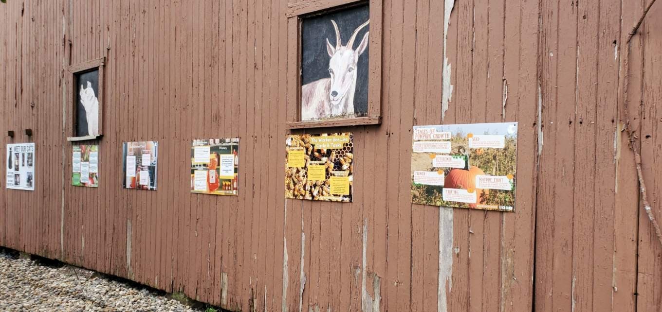 Self-Guided Group Visits at Curtis Orchard, Champaign