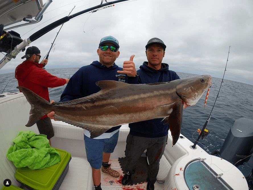 Cobia Fishing with Finao Sportfishing in Norfolk, VA