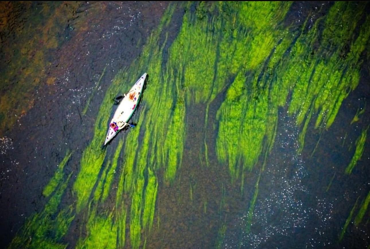 Full-Day Canoe Journey in Whitney-on-Wye with Want to Canoe?