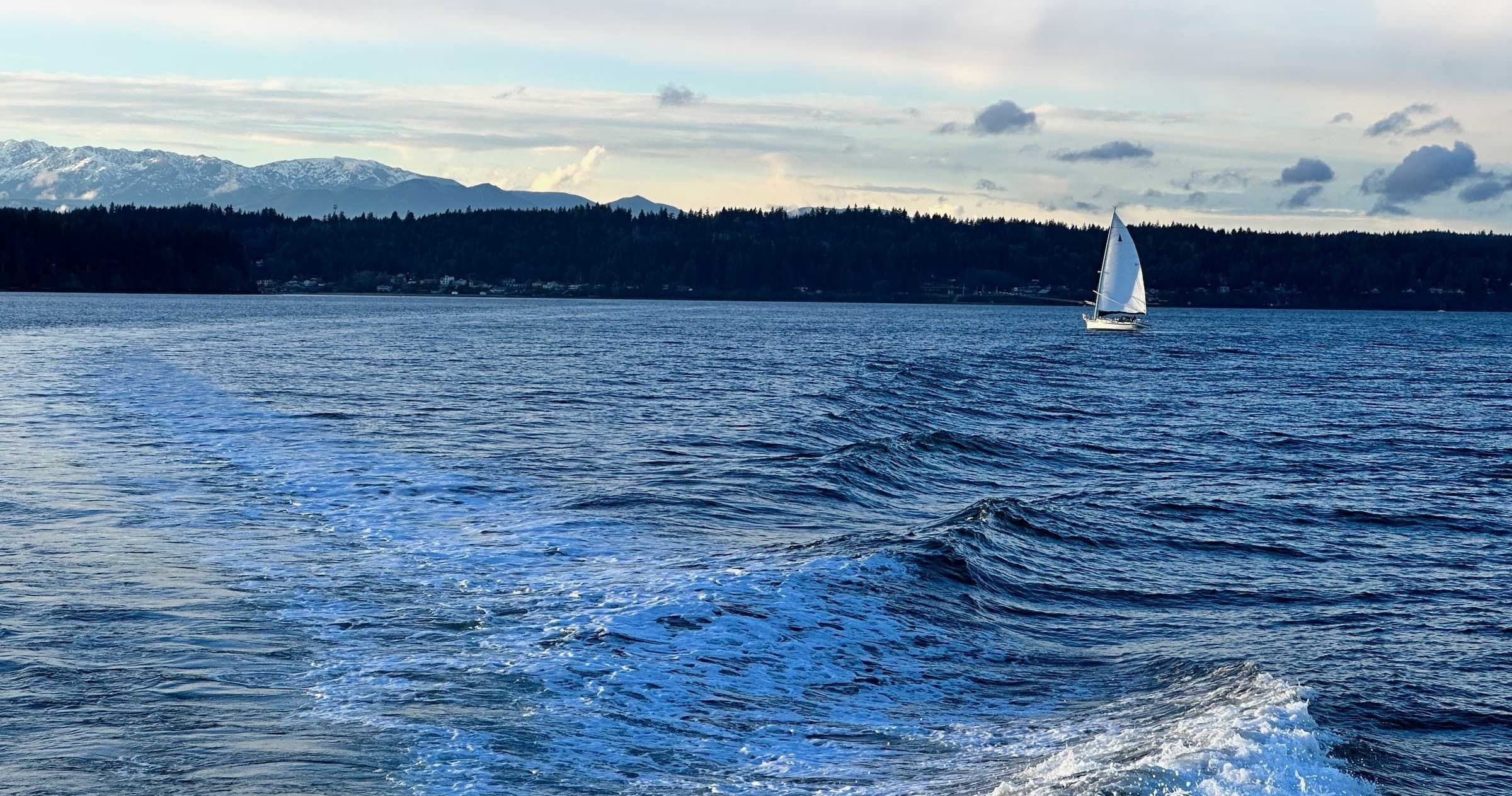 Memorial at Sea: Honoring Loved Ones on Puget Sound’s Tranquil Waters