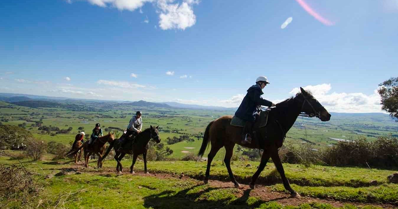 Explore Delatite Valley on a Scenic Two-Hour Horseback Ride
