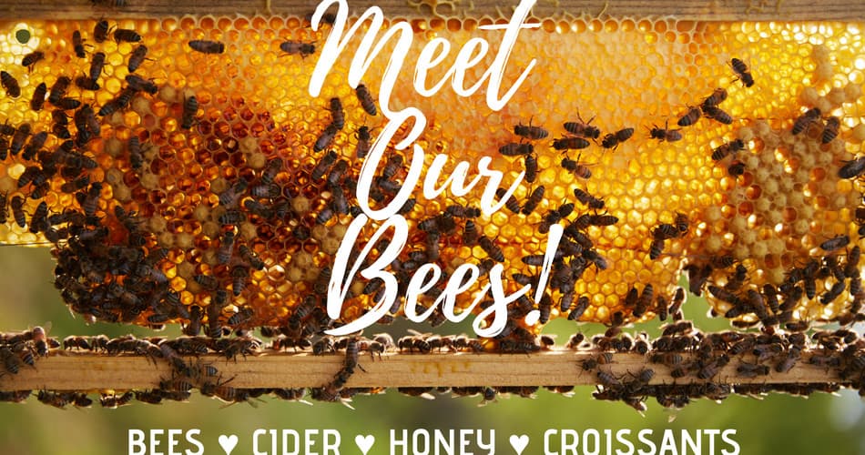 Two Hives Honey team
