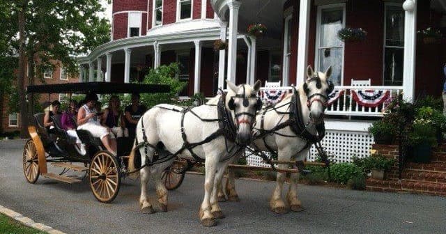 Lexington Carriage fleet
