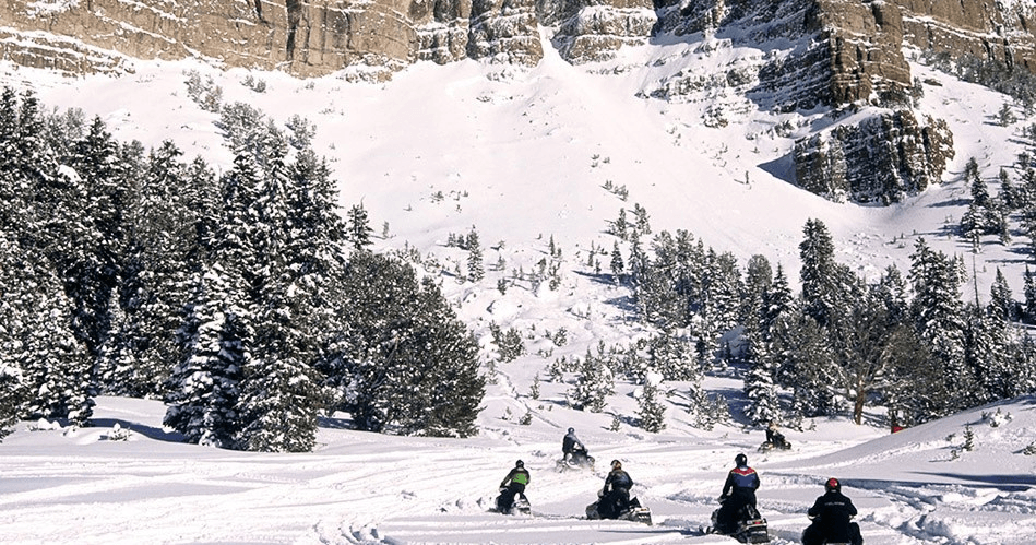Guided snowmobile tour across snowy valley below pine-covered slopes