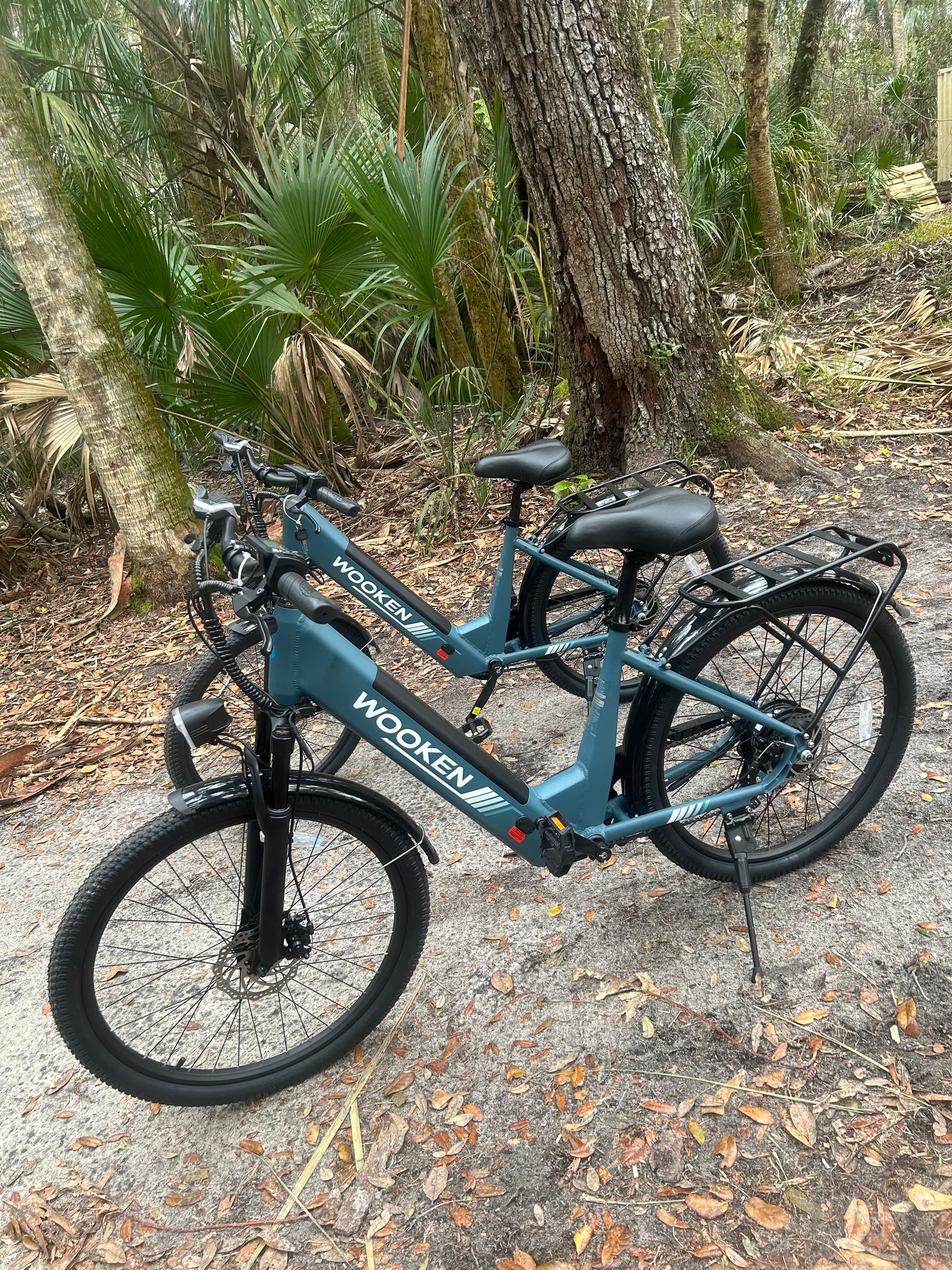 e-bike-rentals-blue-springs-state-park-manatees-live-oaks