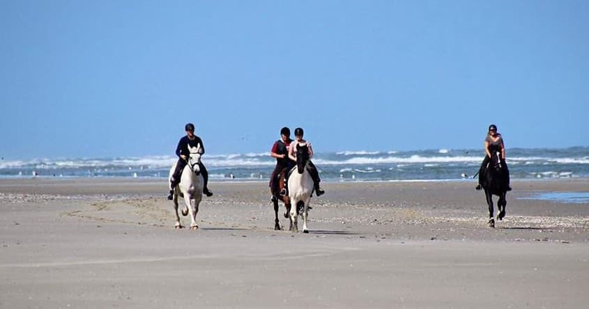 Horseback Riding Adventure at Huifkarbedrijf Terpstra on Terschelling