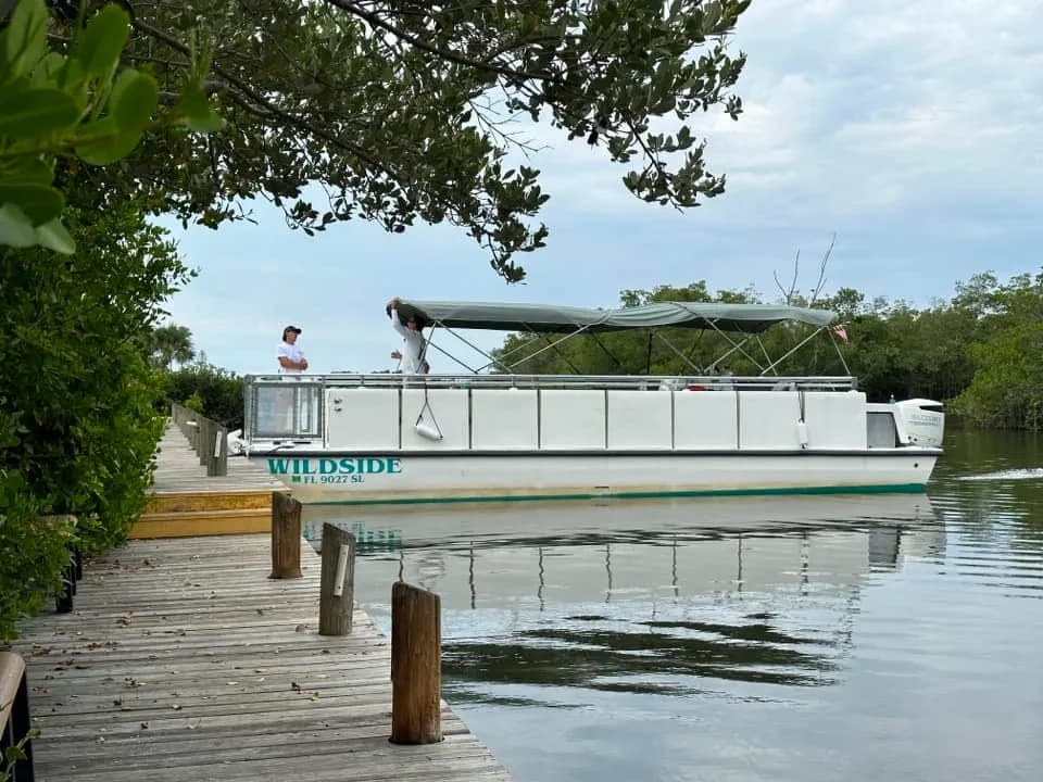 Private Dolphin Eco Cruise by Cocoa Beach Catamaran