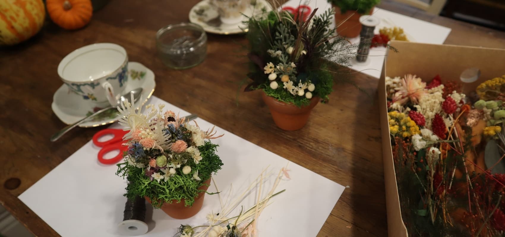 Mini Garden Crafternoon for Teens with Debbie Bryan in Nottingham