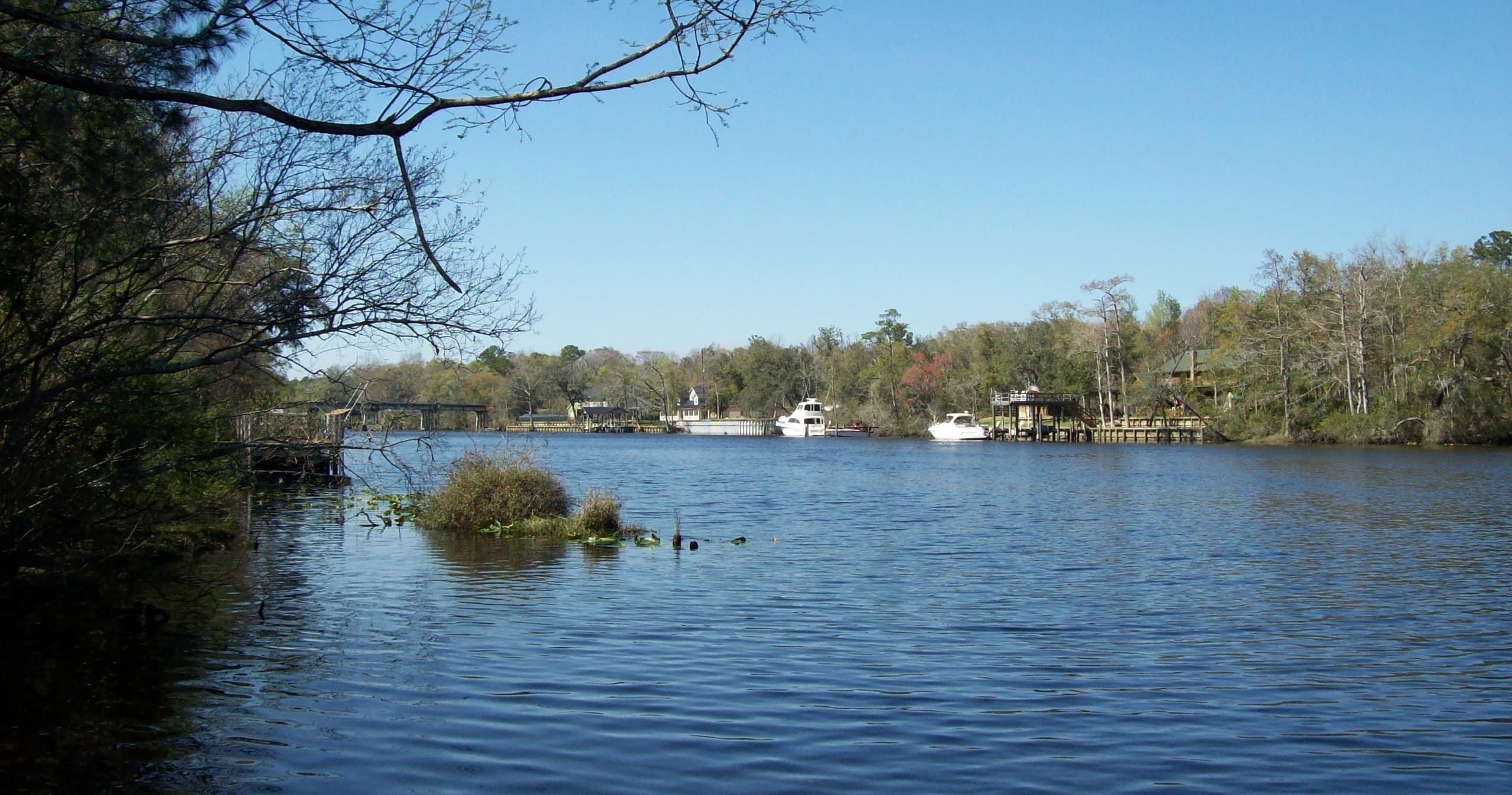 Water Activities at Tikila Cruise: Discover Black Creek to Redneck Beach
