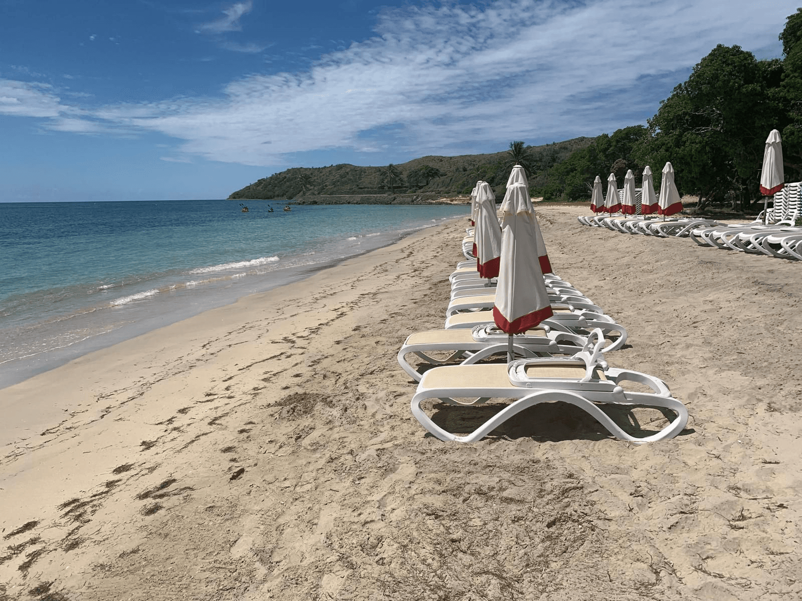 Island Paradise Tours team