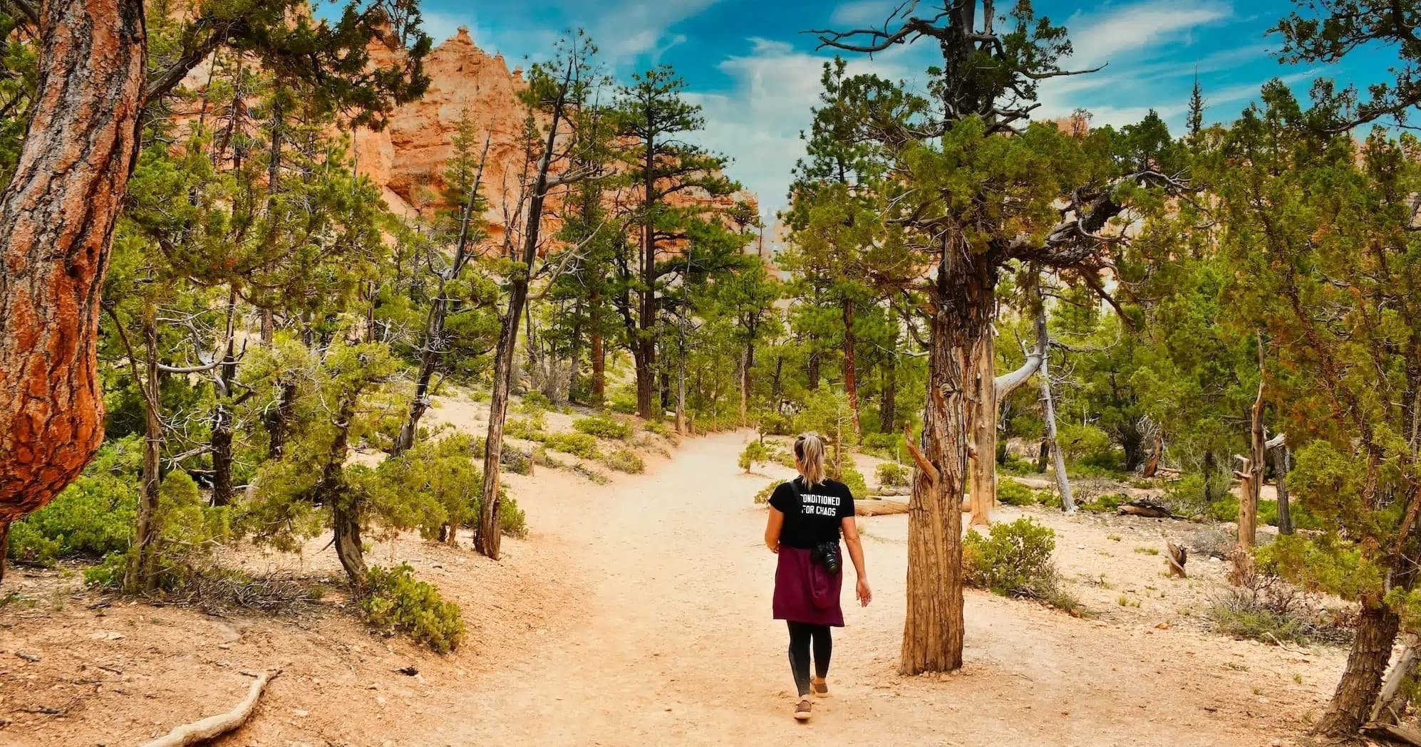Two-Day Private Zion & Bryce Adventure: Navajo Sandstone Cliffs to Bryce Hoodoos