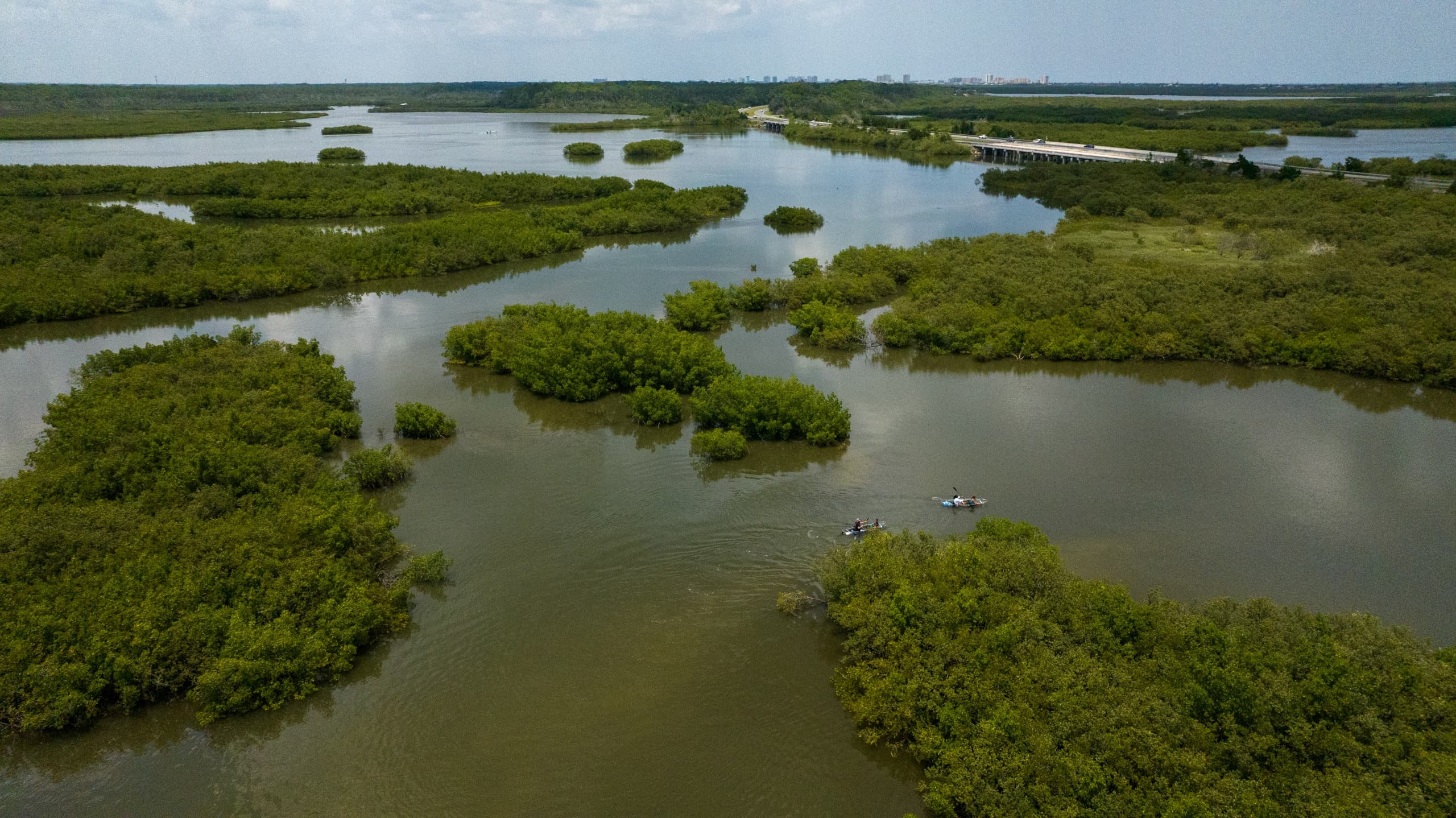 Aerial kayakers paddling through coastal mangrove marshes