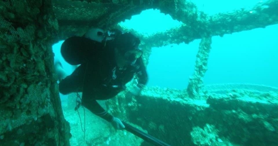 Water-Activities with Niuhi Dive Charters at Oriskany Reef