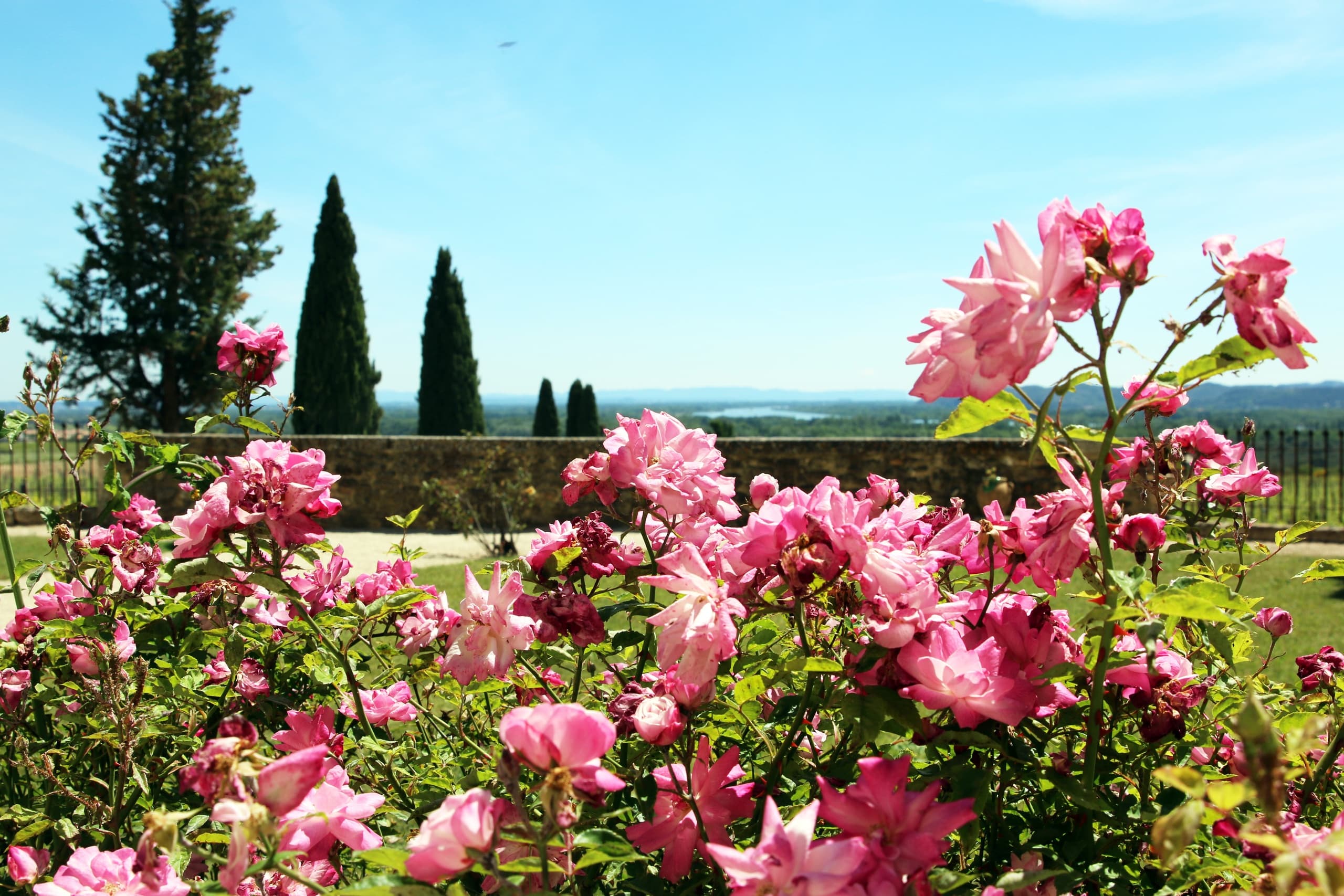 Land Adventures: Provence Road Trip with The Adventure Collective
