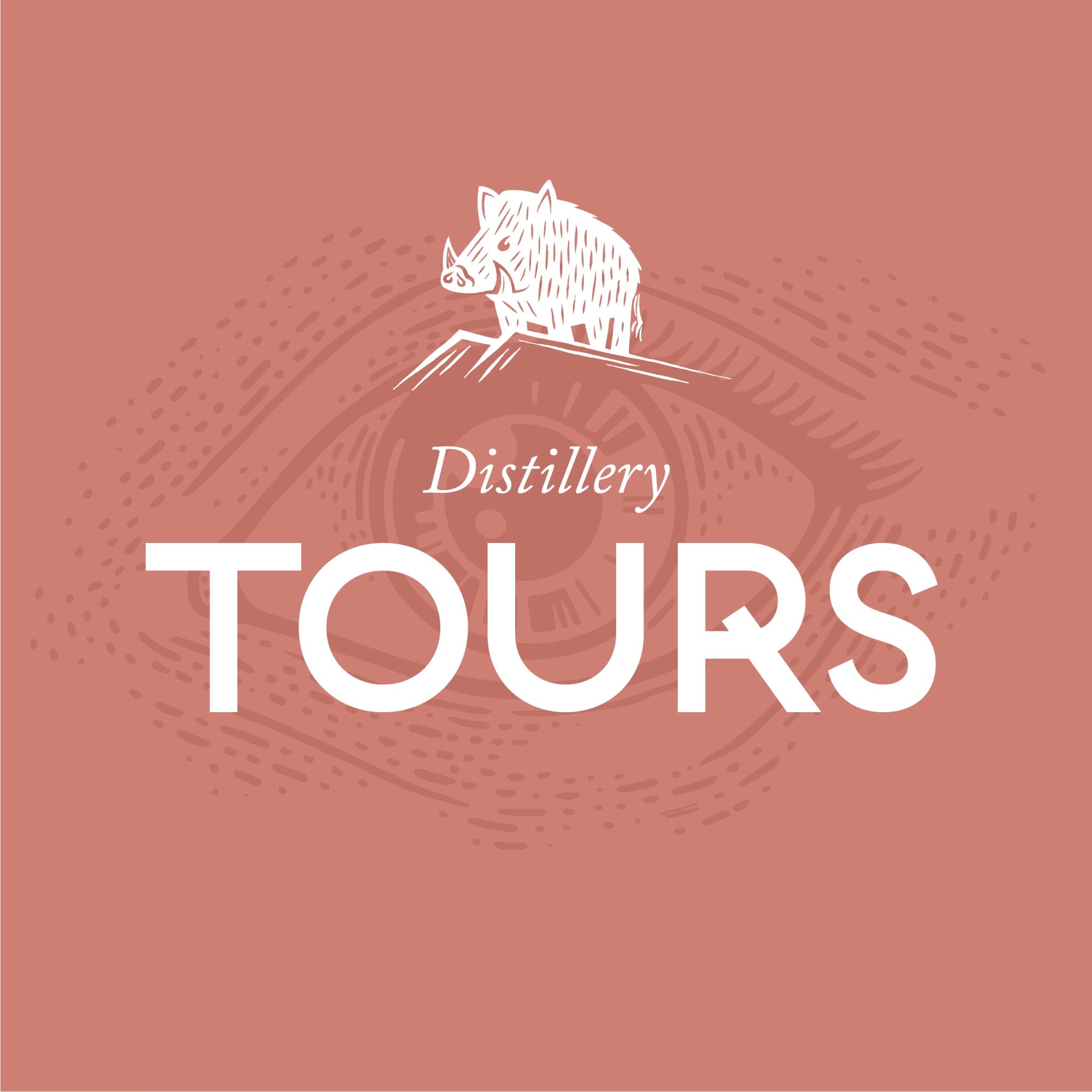Guided distillery tours on Kintyre estate with tasting experiences