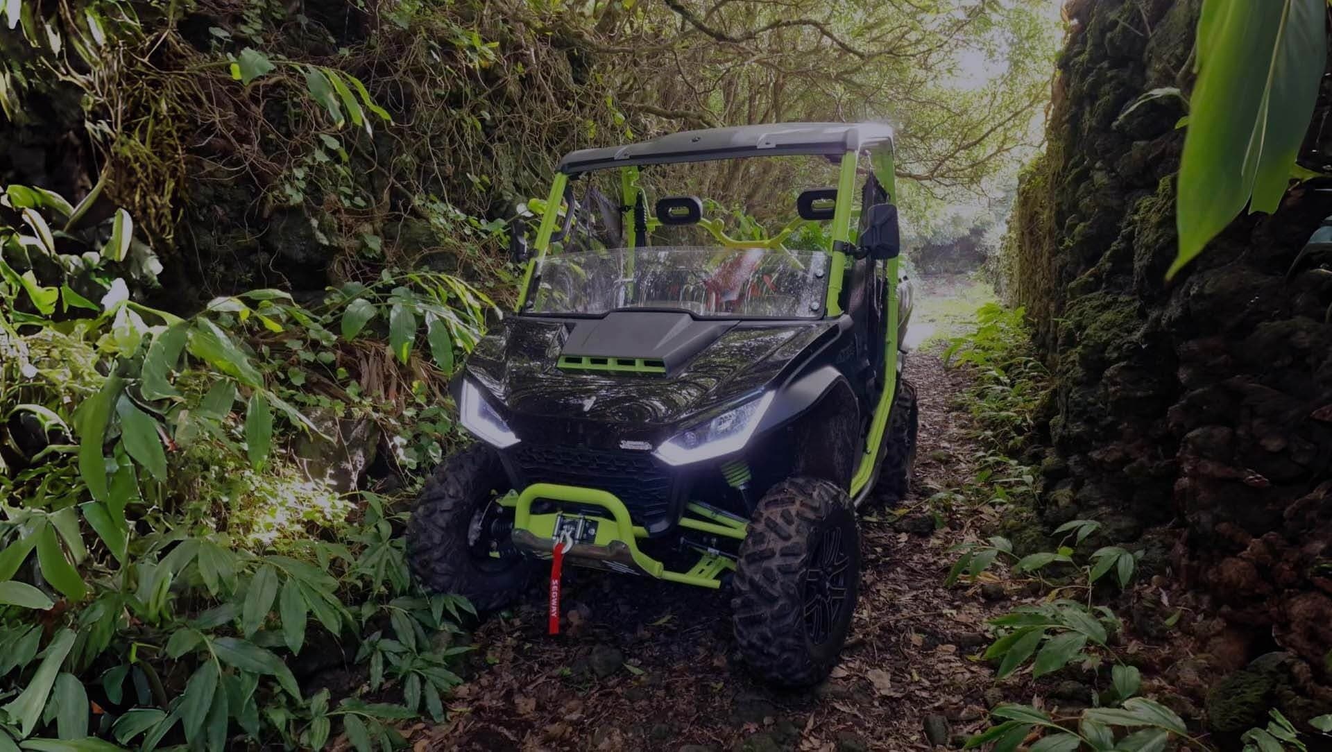 Pico Off-Road Buggy Adventure: 3-Hour Madalena Ride