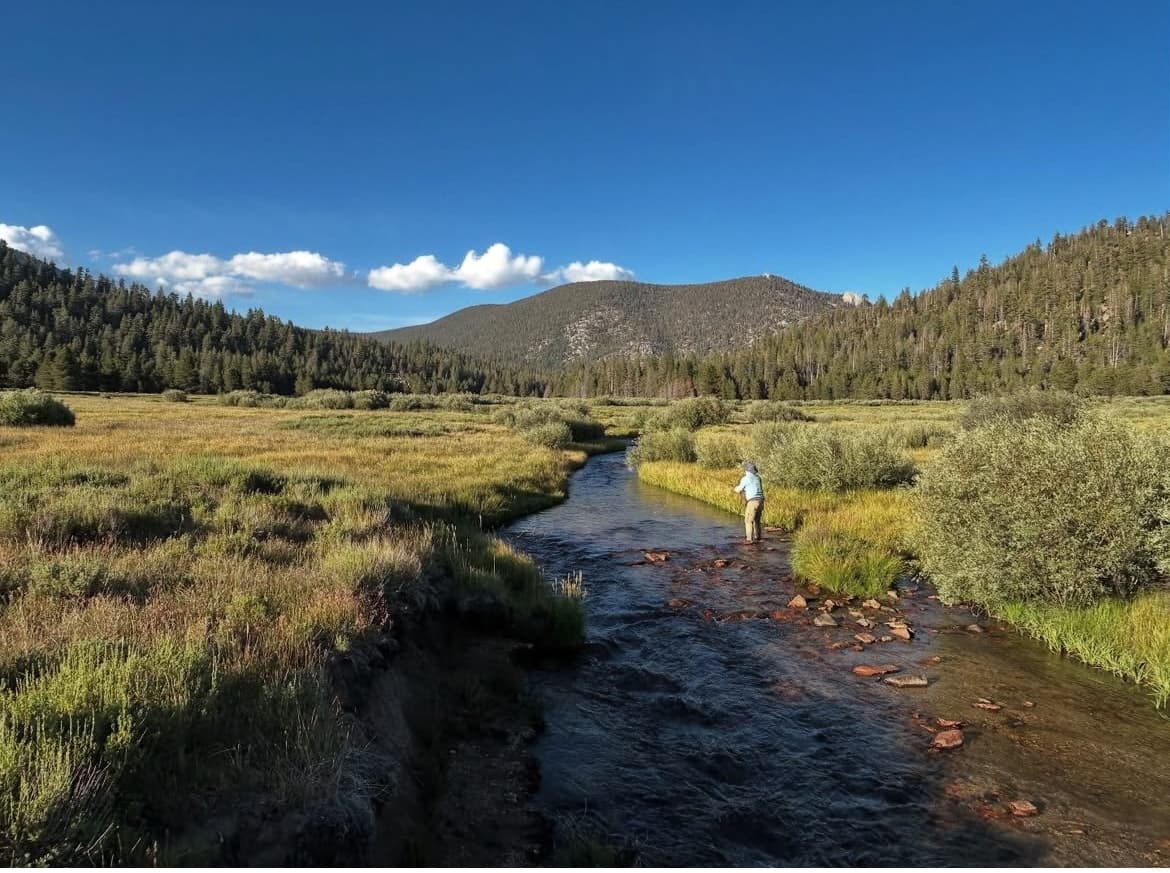 Seven Days Chasing Golden Trout in the High Sierra