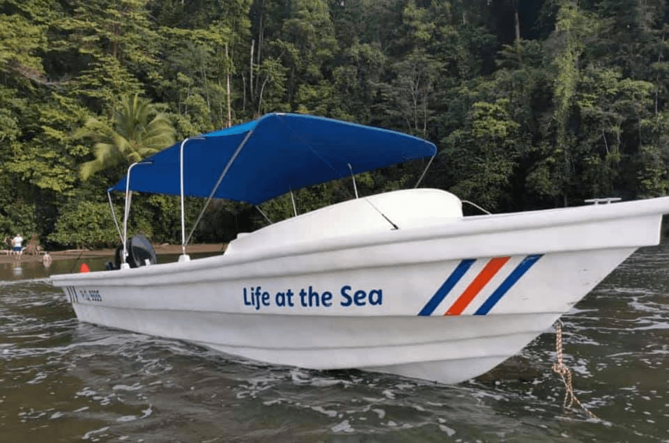 Small tour boat anchored in calm tropical bay with canopy shade
