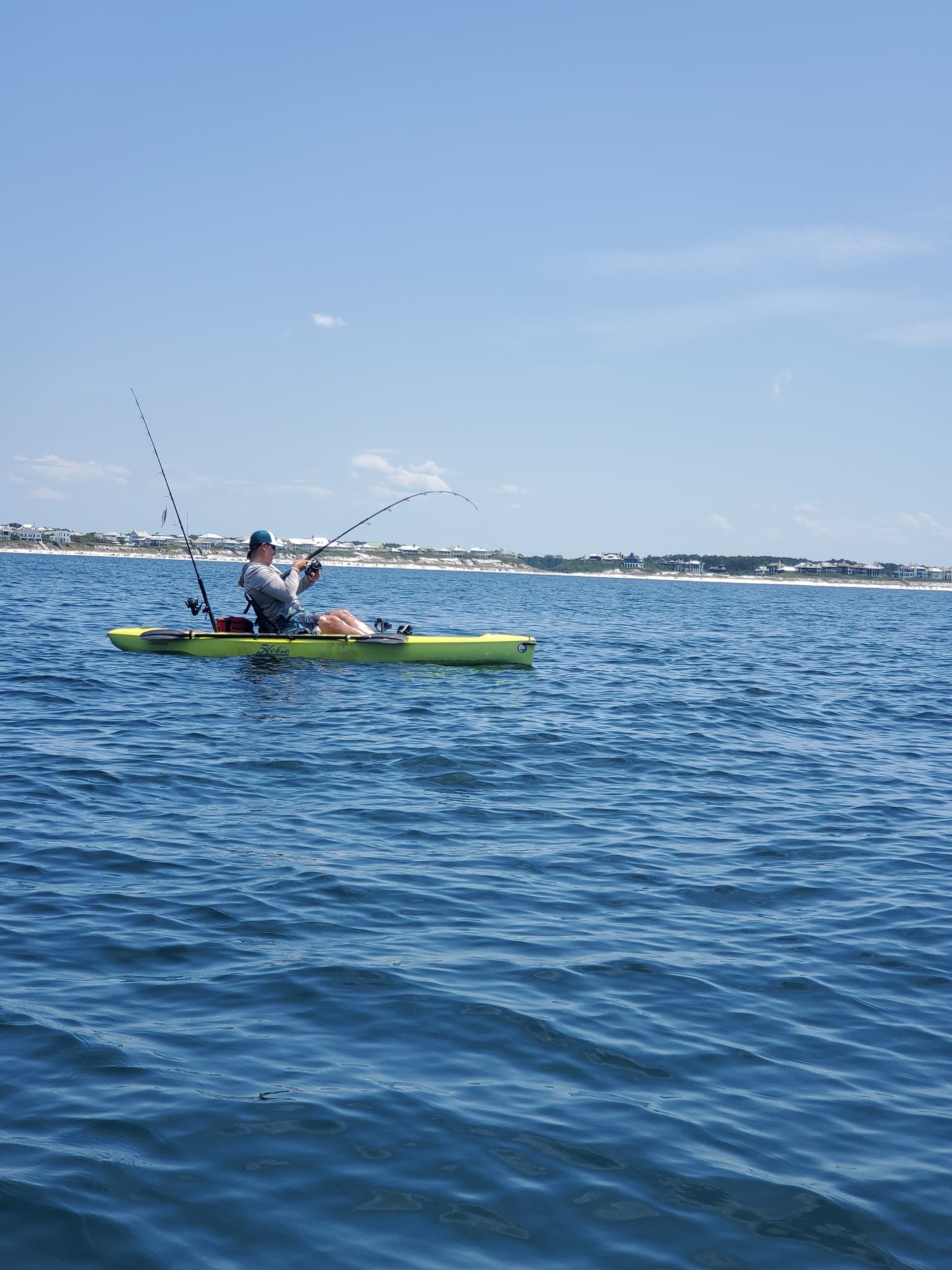 Offshore in Four Hours: Santa Rosa Beach Gulf Fishing and Wildlife Charter photo 1