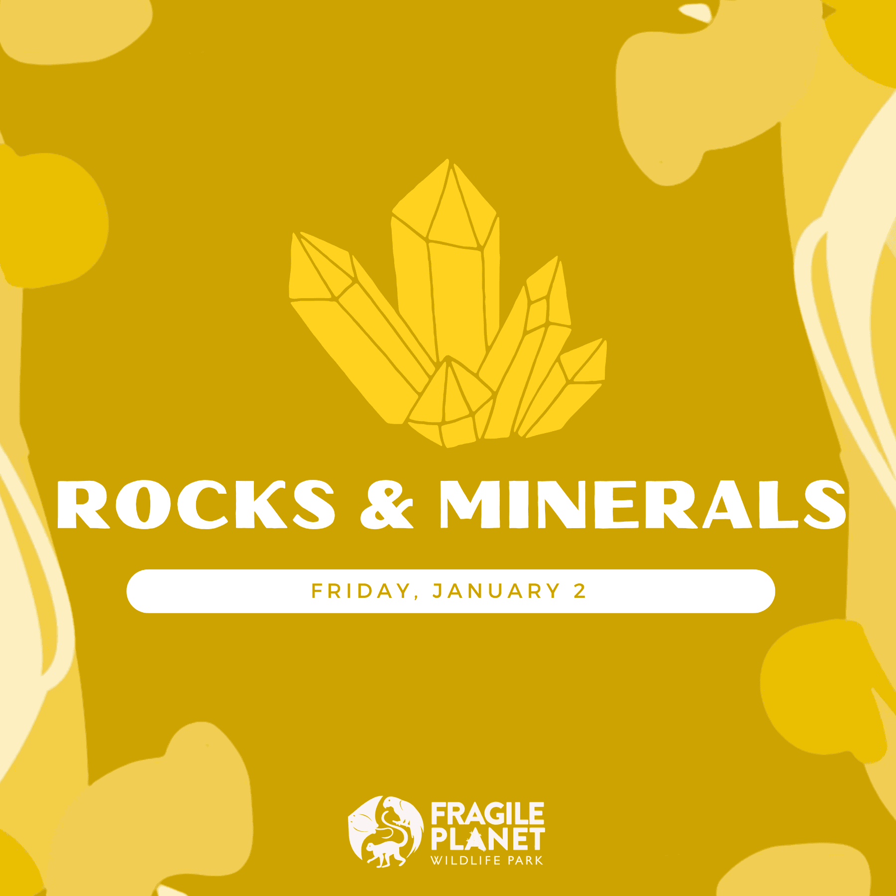 Digging for Answers: Kids Camp Rocks & Minerals Day at ZooKeeper Camp (Los Fresnos, TX)