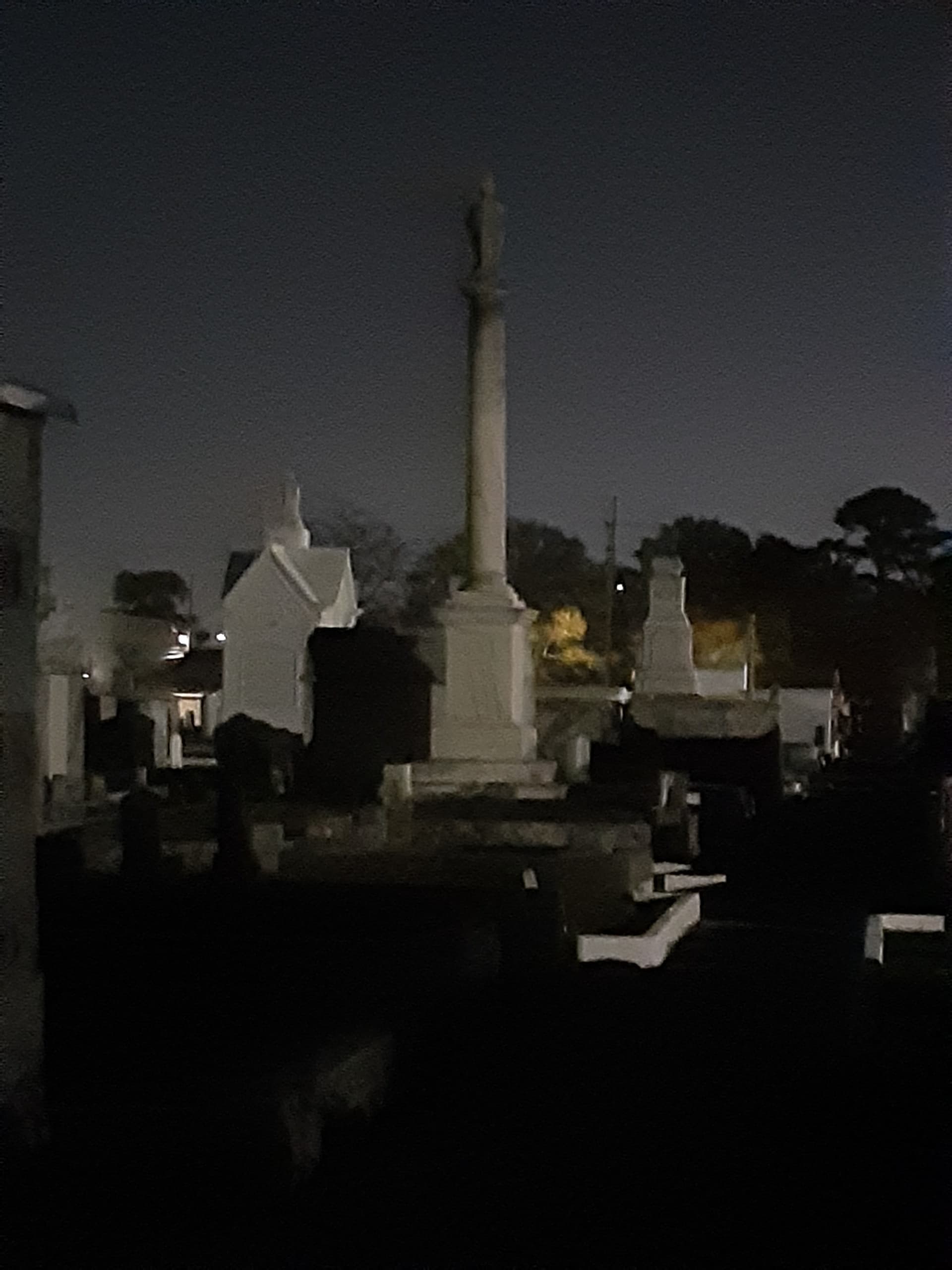 Night Bus Cemetery Tour with HEY, Tour Lady! in New Orleans