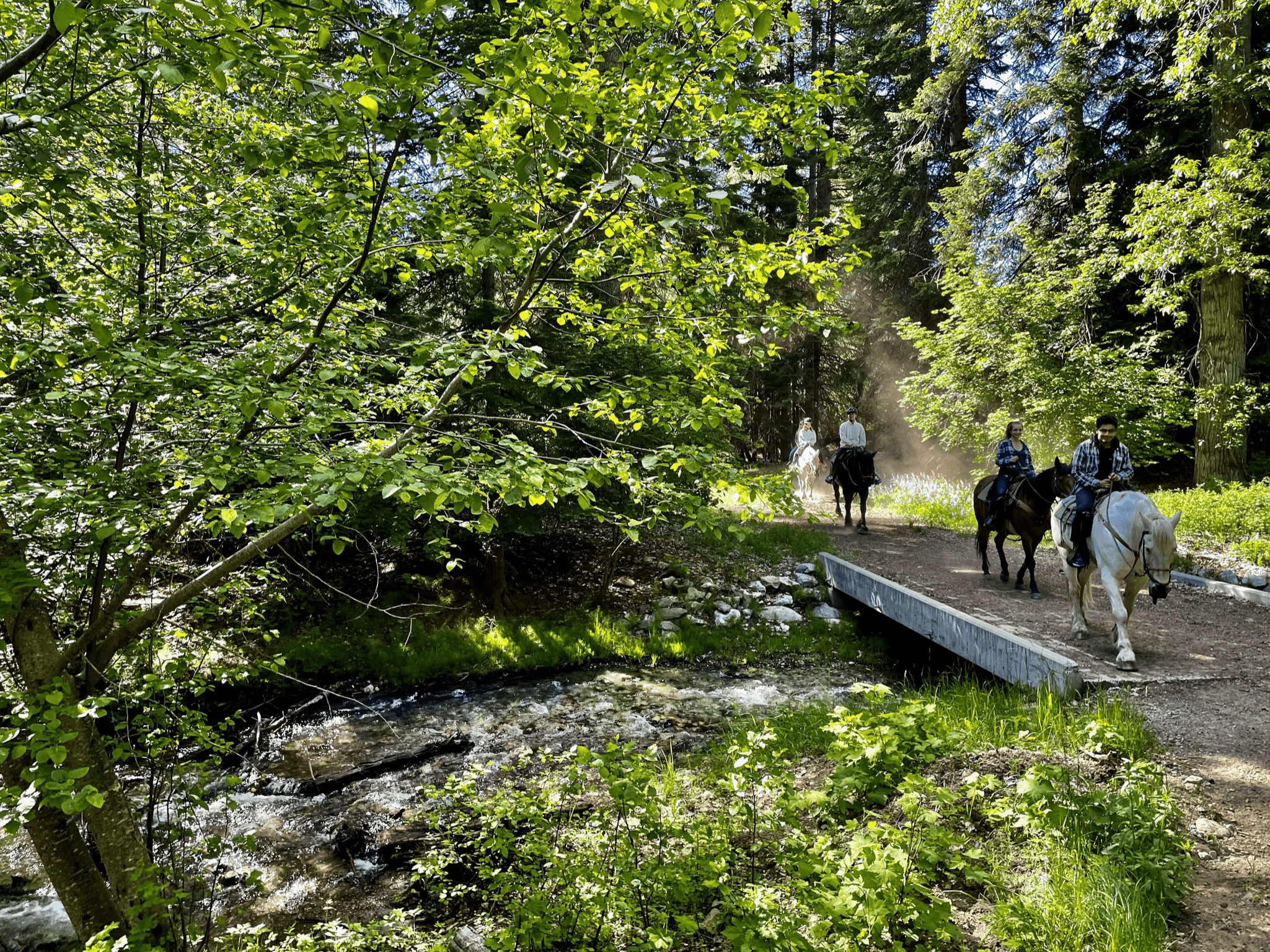 Horseback Riding with Wild At Heart Horse Rides in the Countryside