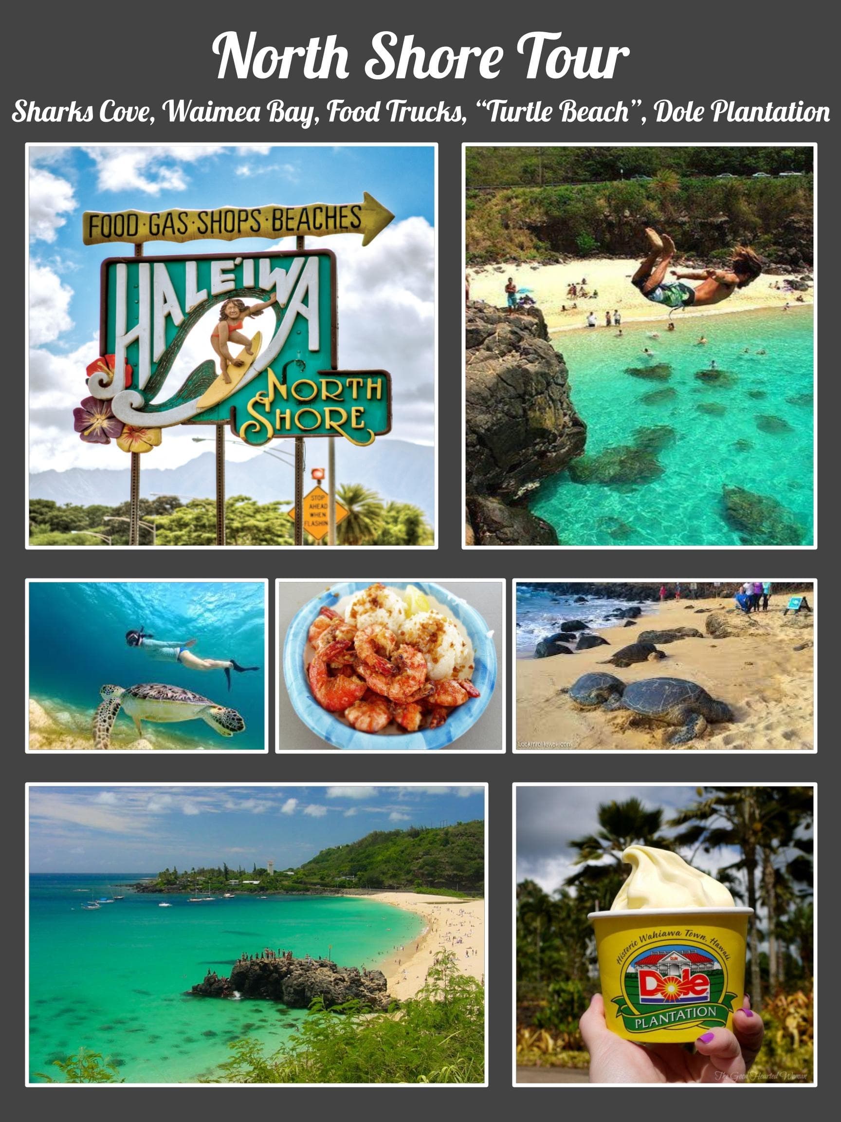 Water Activities & Tours: North Shore Shuttle by Wanderlust Hawaii LLC