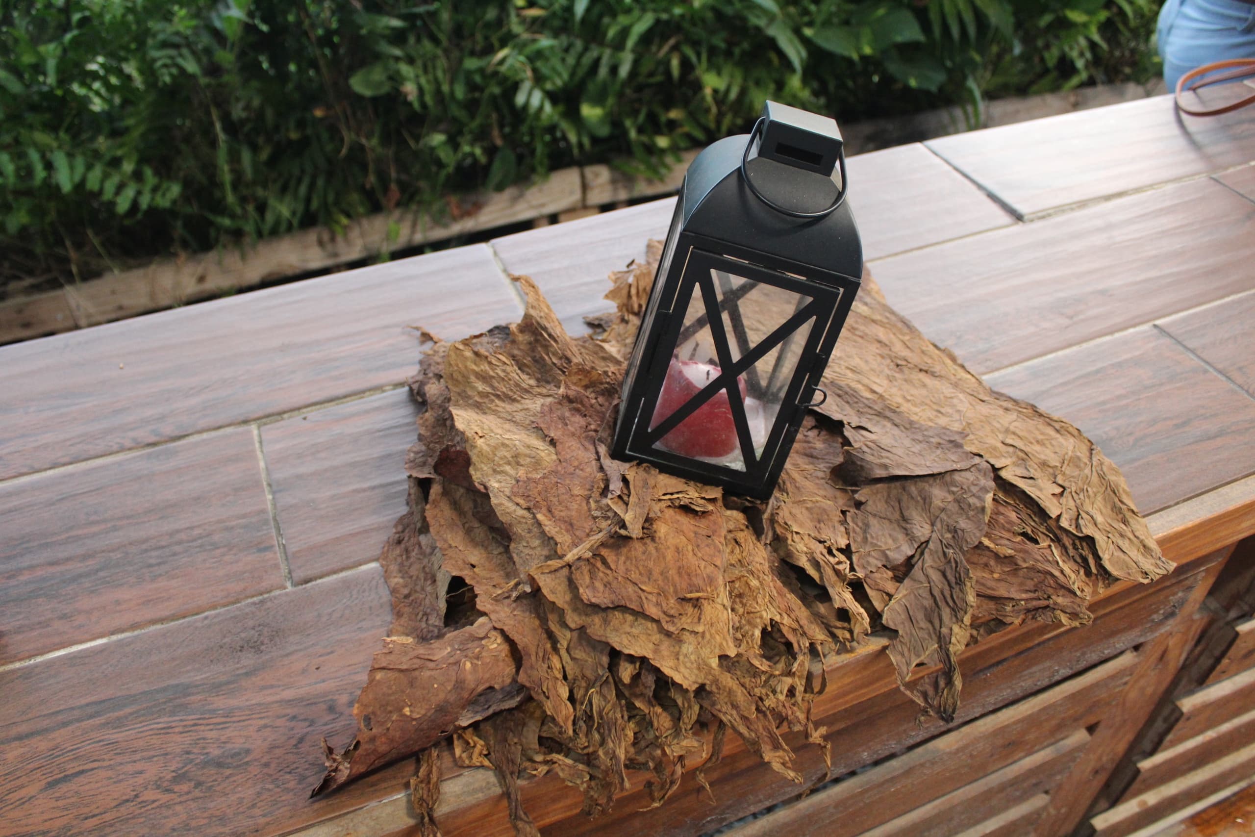 Smoke & Soil: Exploring Tobacco Traditions in San Juan