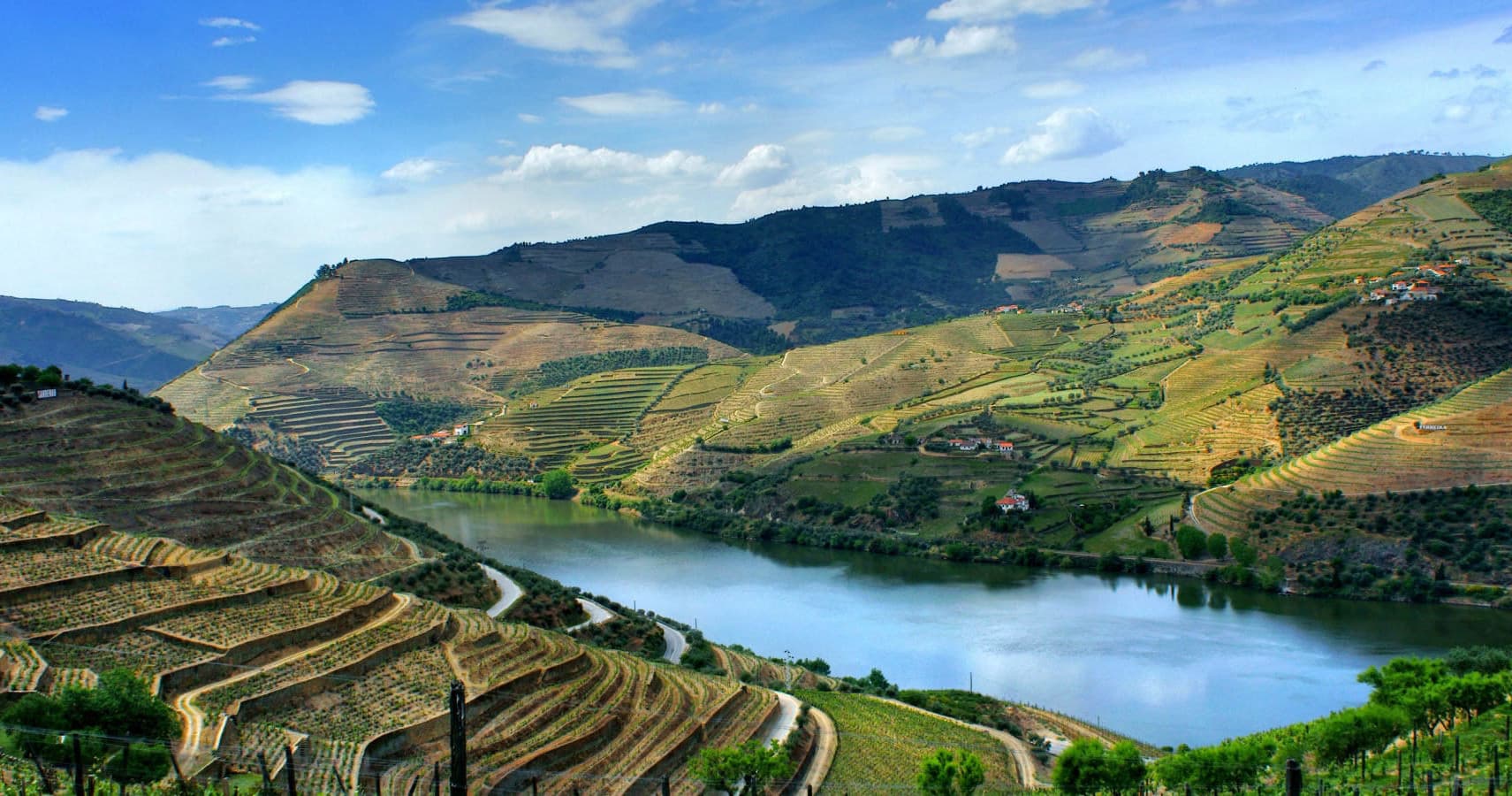 Panoramic terraced vineyards overlooking scenic Douro River