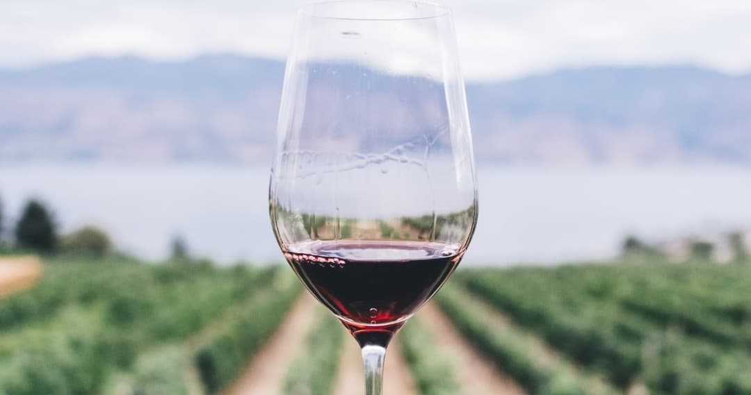 Douro Port Tasting Tour by Farm Experiences & Tours