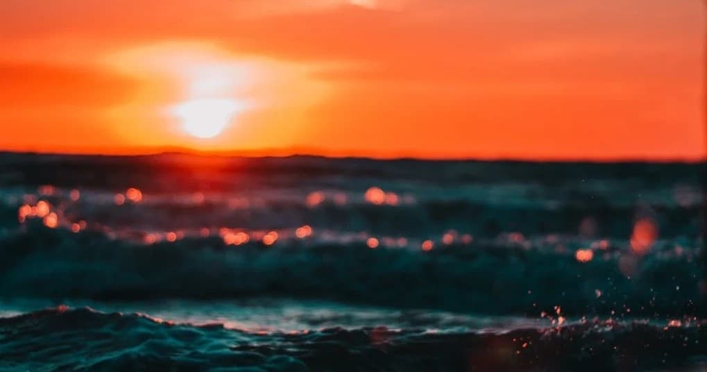 Luxury Sunset Cruises on Lake Travis with Lake Dreams ATX