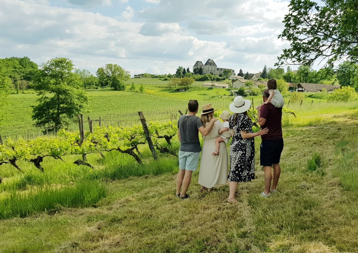 Wine Tasting at Chateau Feely: Organic Vineyard Experience
