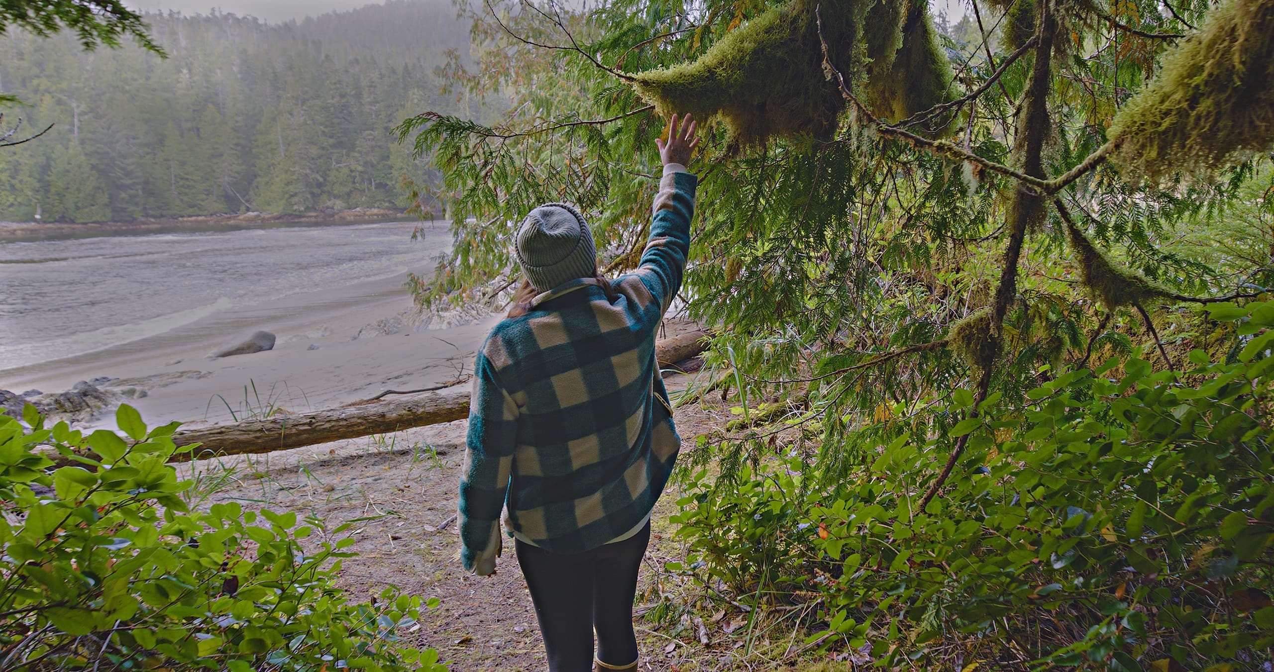 Hiker walking toward misty beach through lush coastal rainforest