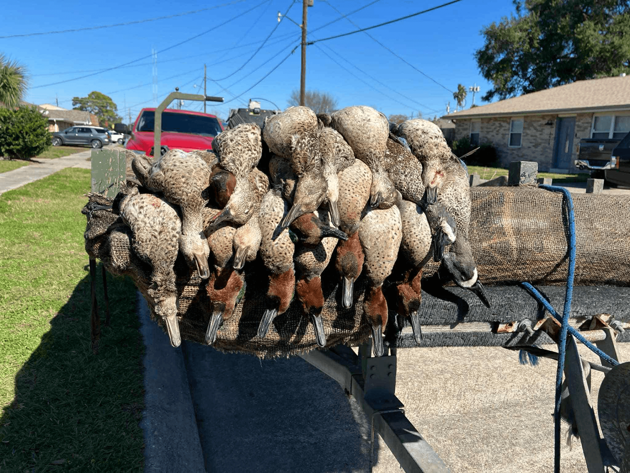 Private Marsh Duck Hunt Near Andrews, SC — Half-Day Guided Waterfowl Trip
