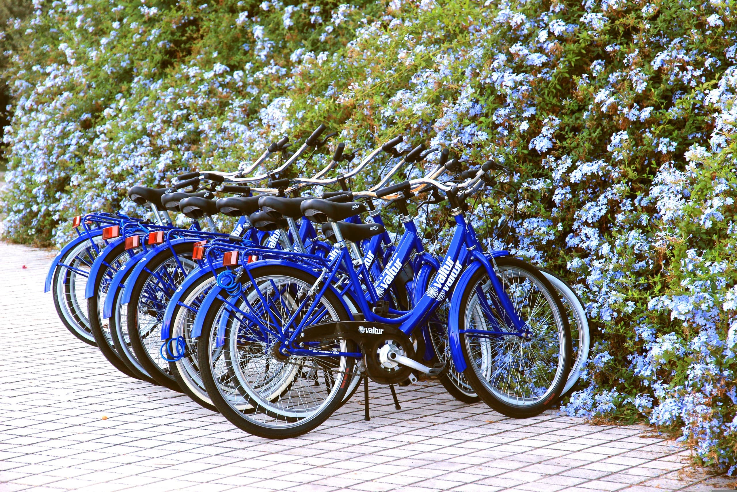 Hourly Bike Rentals for Trail and Town Adventures
