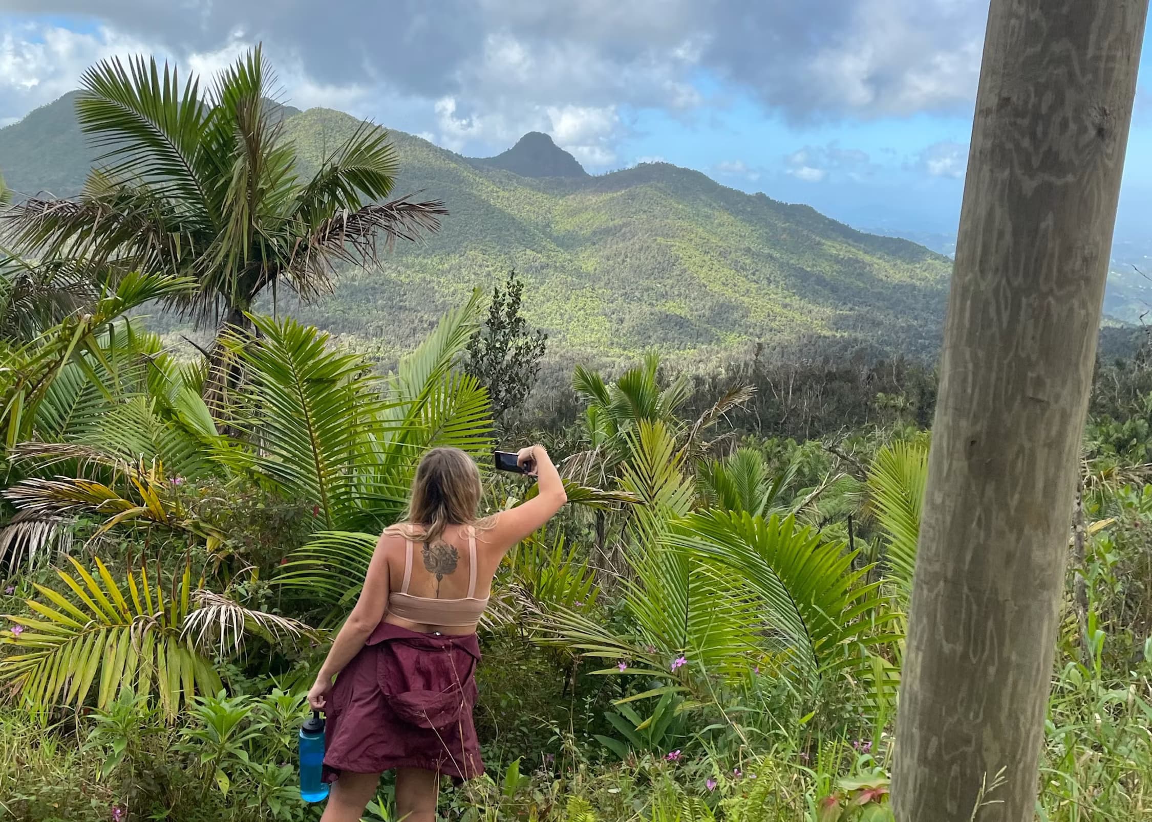 Wildlife & Nature Adventure with Borinquen Paradise Tours in El Yunque