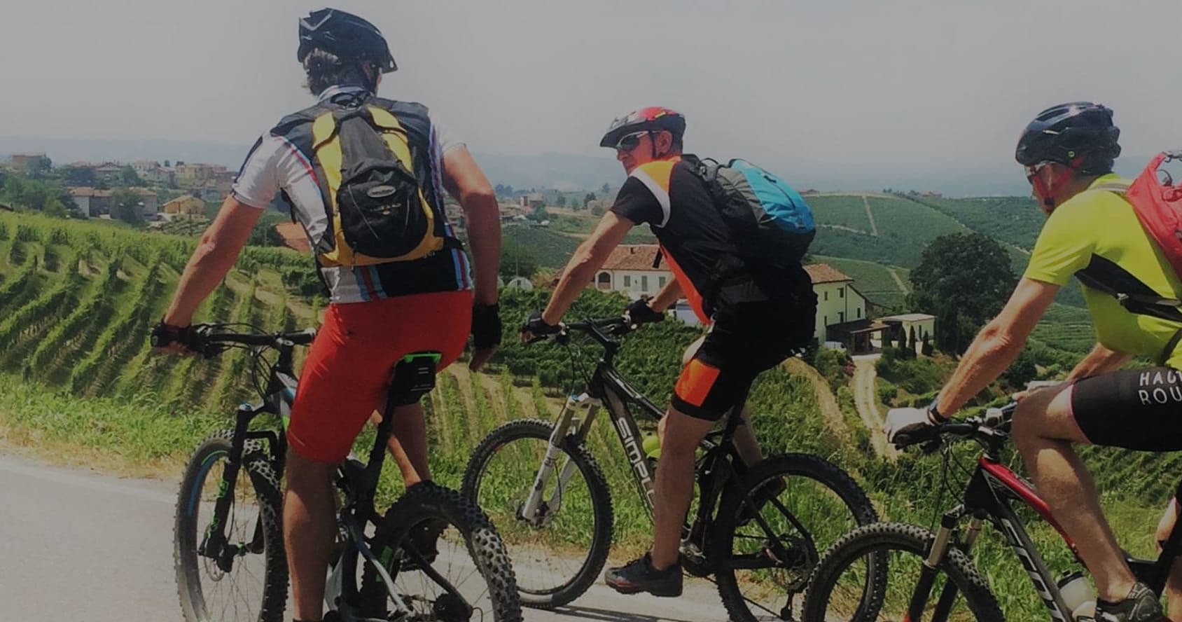 Wine Tasting & Culture in Langhe with Meet Piemonte
