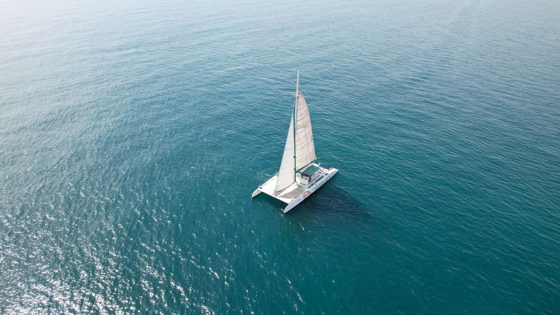 Coastal Sailing Adventures with Mundo Marino in Valencia