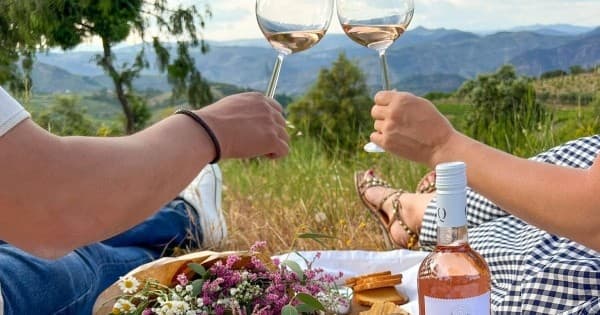 Port Wine Tastings & Picnics by Farm Experiences & Tours