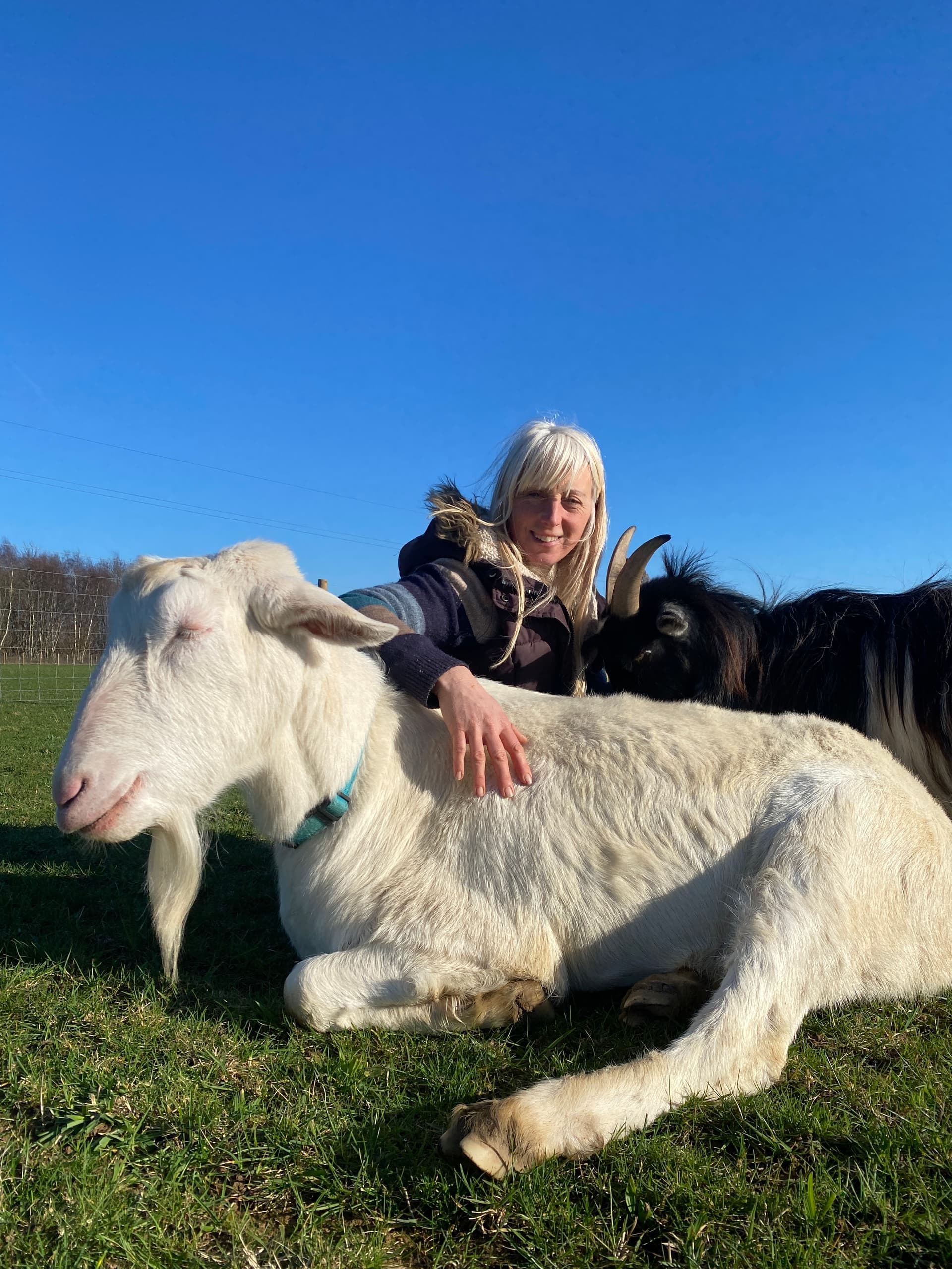 Quiet Time with Goats and Sheep at Wild Woodland Retreat — Elham, Kent photo 2