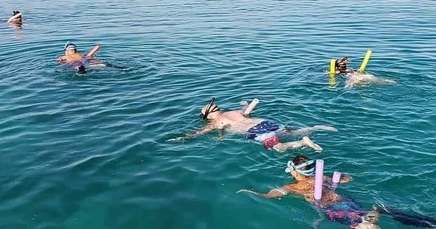 Snorkeling Adventure in Key West, Florida