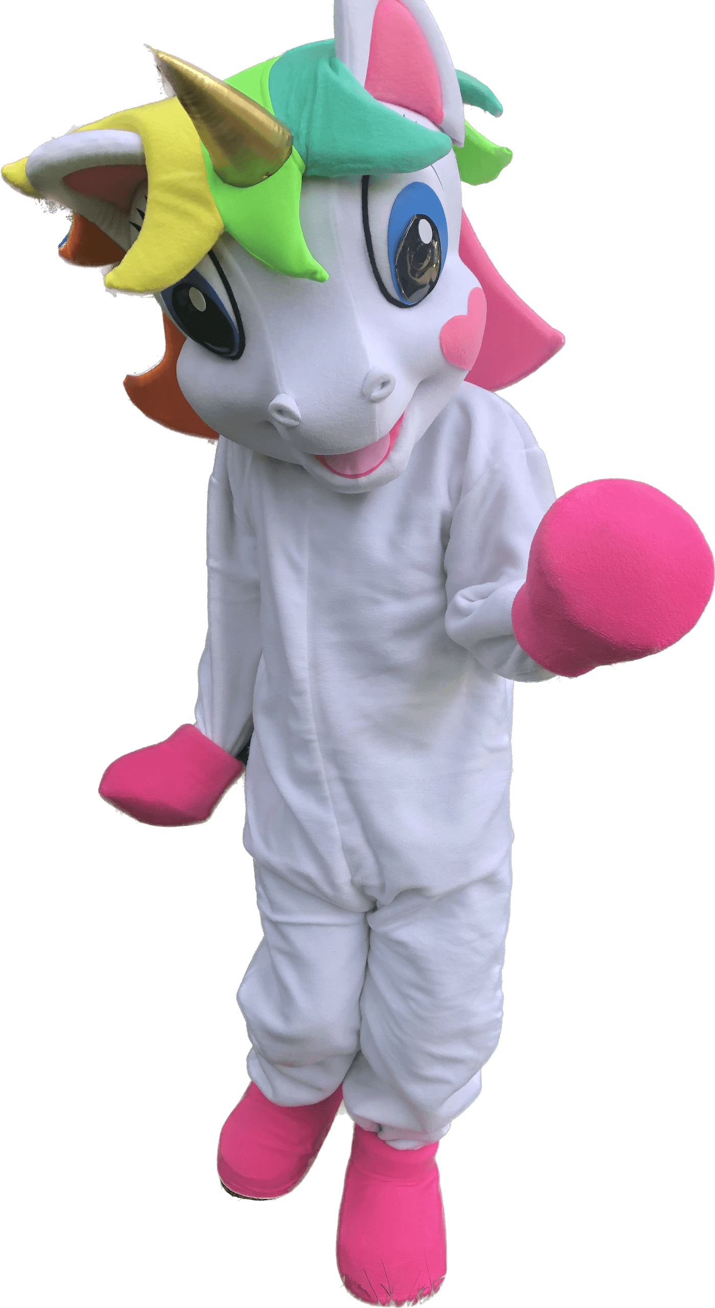 45 Minutes Mascot: High-Energy Kids' Parties in Toronto